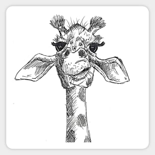 Giraffe Sticker